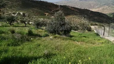 مزرعة/شاليه - حوض ابو بصيلة على طريق الماسورة في الصبيحي - السلط - 90000 دأ